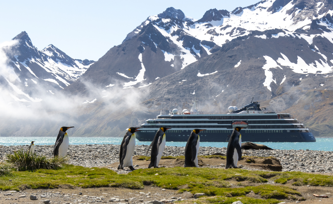 Pinguins em ambiente polar com navio de expedição ao fundo e montanhas nevadas
