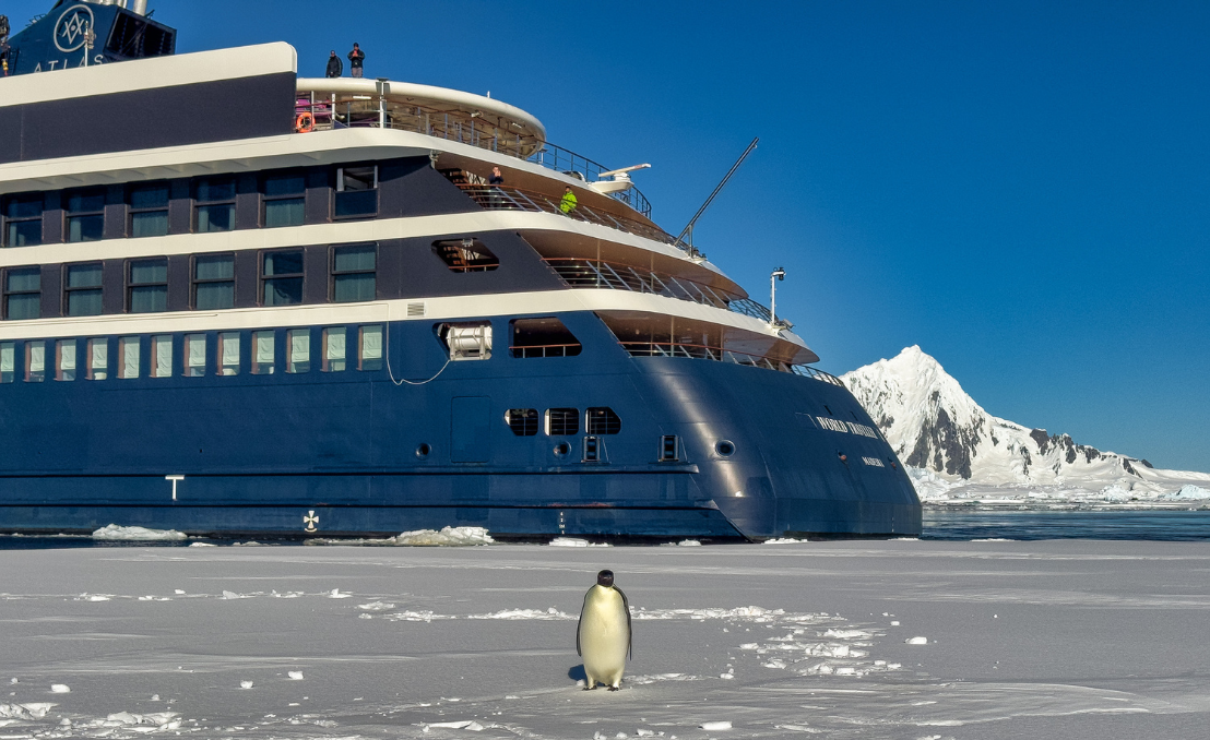 Pingüino sobre el hielo con un barco de expedición al fondo en la Antártida